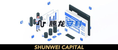 螣龙安科获数千万元A轮融资，顺为资本持续加码网络安全赛道